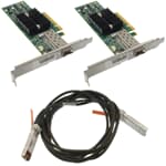 HP Mellanox 10GbE SET 2x Connext-2 1Port 10GbE inkl 3M SFP+ Kabel 671798-001