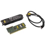 HP Smart Array Cache Battery Kit 256MB - 462974-001