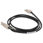 EMC Mini-SAS Kabel SFF-8088 - SFF-8088 2m - 038-003-787