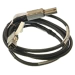 EMC kompatibel SAS-Kabel Mini-SAS - Mini-SAS HD 2M extern - 038-003-810