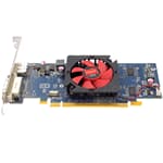 Dell Grafikkarte Radeon HD 6450 512MB 1x DVI 1x DP PCI-E x16 - 2FVV6