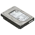 Dell SAS Festplatte 3TB 7,2k SAS 6G 3,5" - 6H6FG ST33000650SS
