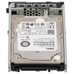 Dell SAS Festplatte 2,4TB 10k SAS 12G SFF PowerVault ME4 ME5 F9NWJ AL15SEB24EQY