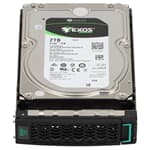 HPE Nimble Storage EXOS 7E8 2TB 7,2k 12G SAS-Festplatte 3,5" LFF - ST2000NM0045 Q8D74A