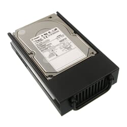 StorCase SCSI Festplatte 73GB 10k U160 SCA2 LFF Data Silo DS500 - 9N8006-001