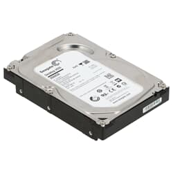 Seagate SATA-Festplatte 2 TB 7,2 k SATA 6G 3,5" - ST2000DM001