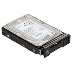 HPE SAS Festplatte 4TB 7,2k SAS 12G DS LFF StoreOnce P00670-001 ST4000NM0025