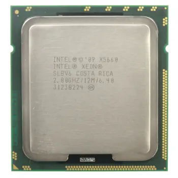 51BH6v-CIAL.jpg_BO30,255,255,