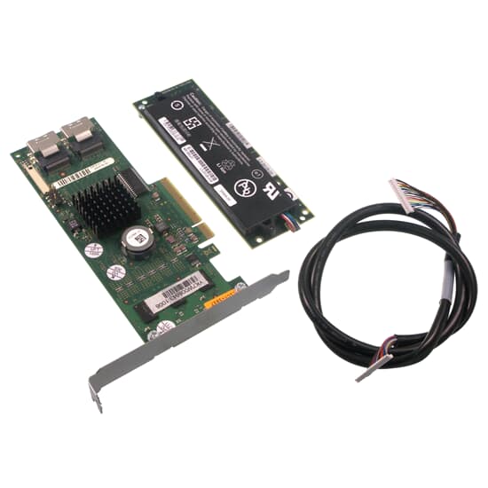 FSC Raid-Controller 2-CH/512MB/SAS/PCIe - D2516-D11